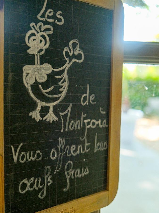 リル・シュル・ラ・ソルギュ Montjoia Bed & Breakfast エクステリア 写真