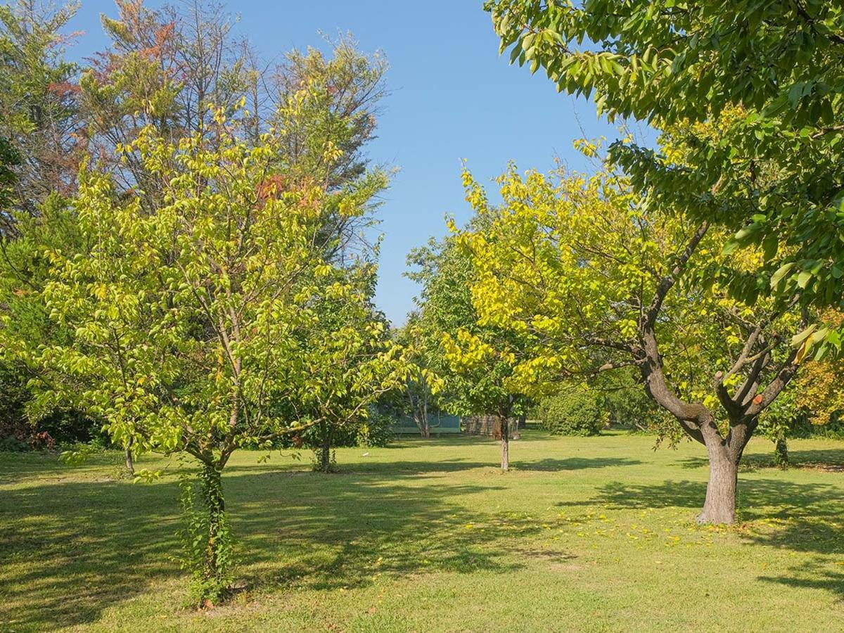リル・シュル・ラ・ソルギュ Montjoia Bed & Breakfast エクステリア 写真