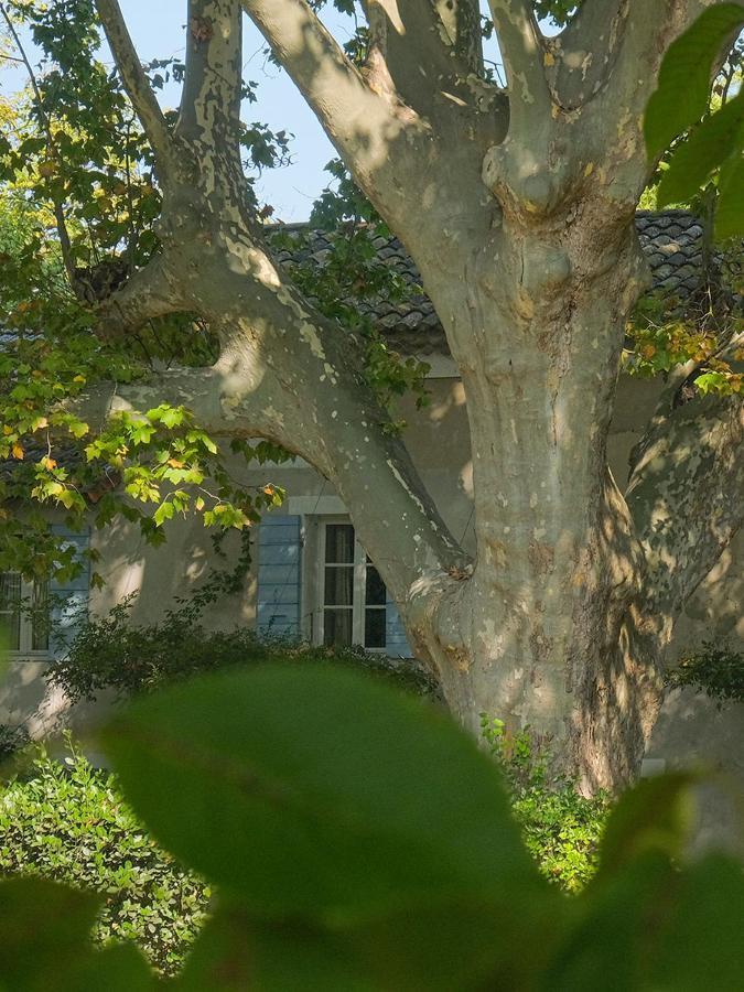 リル・シュル・ラ・ソルギュ Montjoia Bed & Breakfast エクステリア 写真