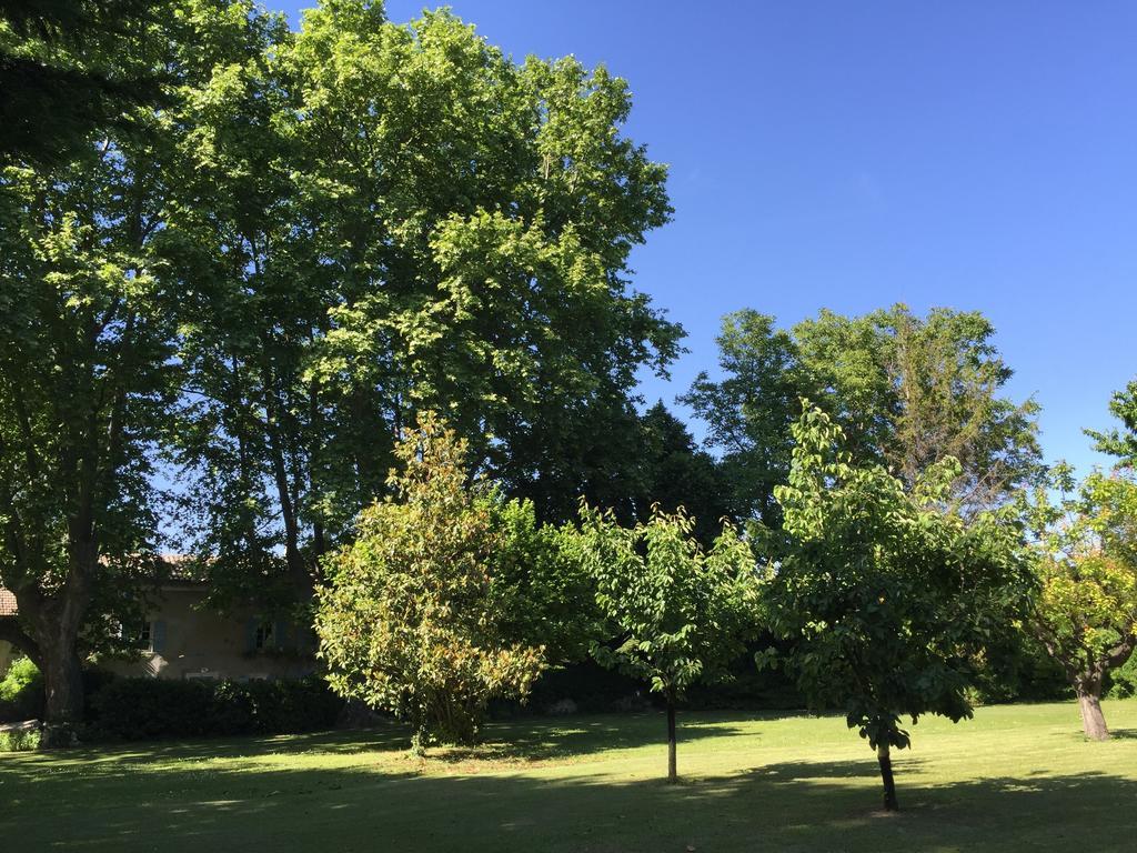 リル・シュル・ラ・ソルギュ Montjoia Bed & Breakfast エクステリア 写真