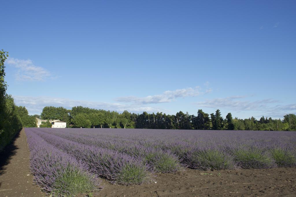 リル・シュル・ラ・ソルギュ Montjoia Bed & Breakfast エクステリア 写真